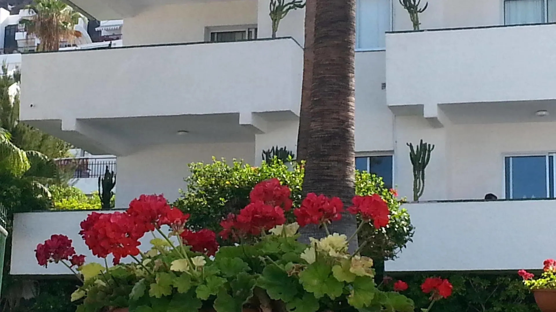 Apartamentos El Sombrero Acantilado de los Gigantes